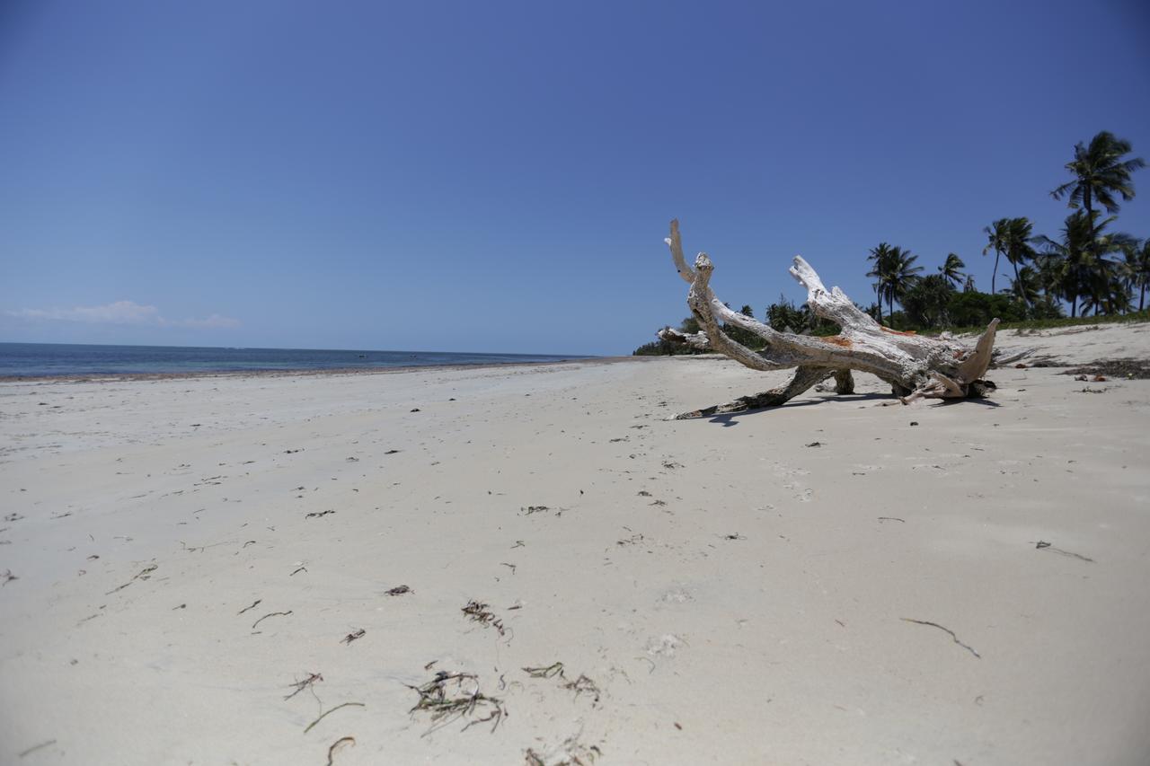 The Beach Crab Resort Pangani Luaran gambar